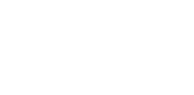Elemento X